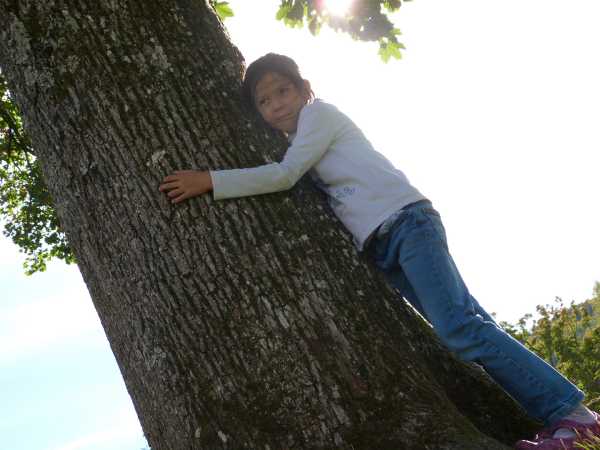Tree hugging