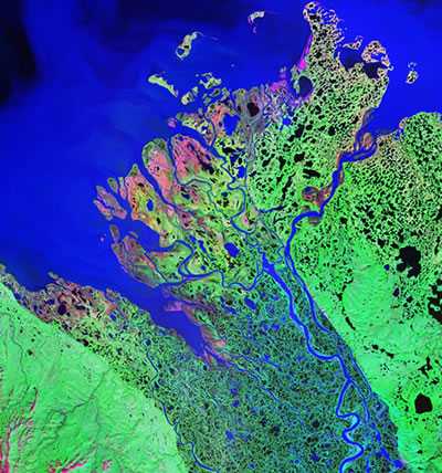 Infrared satellite image of the Mackenzie delta 