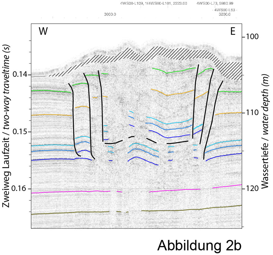 Enlarged view:  Black lines denote faults, coloured lines different seismic horizons 