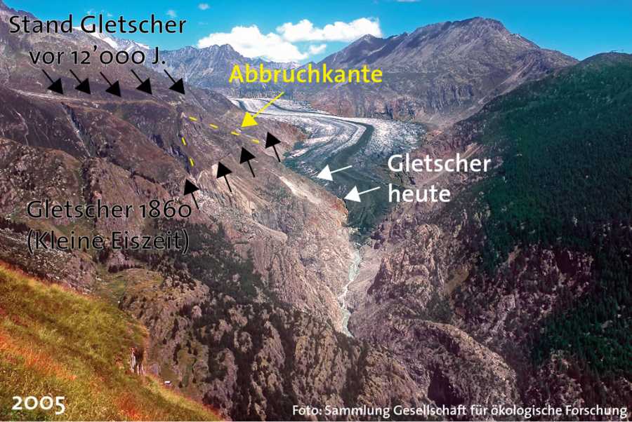 Glacier in 2005 and today