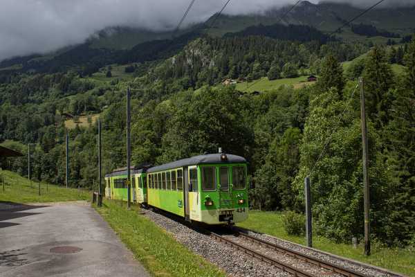 Grüner Zug