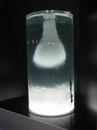 Vergrösserte Ansicht: Kristall in einer Flasche