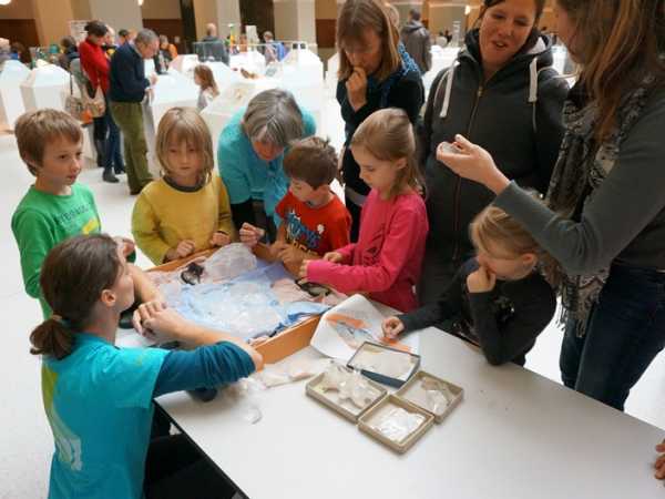 Kinder betrachten Figuren