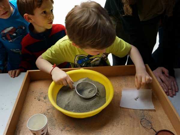 Katzengold aus dem Sand sieben