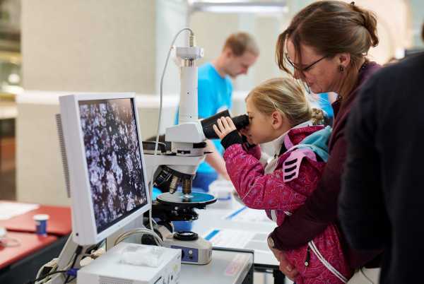 … und Meteorite unter die Lupe genommen.