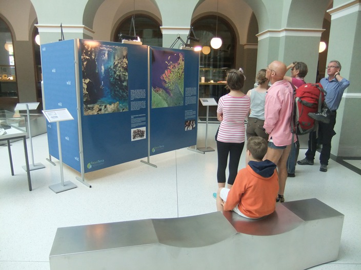 Besucher vor Plakaten in der Ausstellung